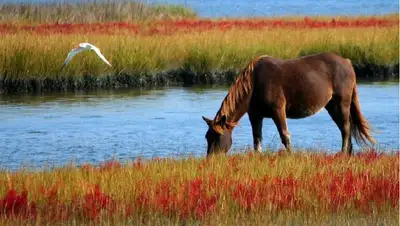 водопой, фото - Новости Zakon.kz от 31.08.2022 15:02