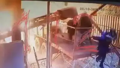 кадр из видео, фото - Новости Zakon.kz от 23.10.2021 15:07