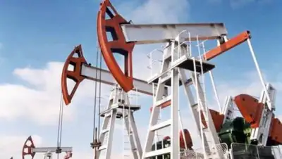 bnews.kz, фото - Новости Zakon.kz от 11.10.2018 15:40