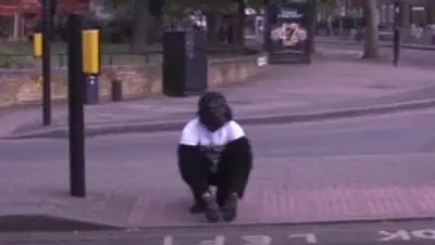 Zakon.kz, фото - Новости Zakon.kz от 30.04.2017 06:08