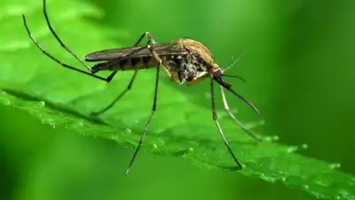 Zakon.kz, фото - Новости Zakon.kz от 17.06.2015 17:07