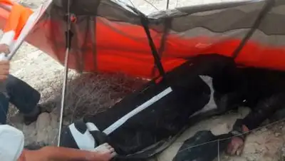 пресс-служба ДЧС по МО, фото - Новости Zakon.kz от 20.09.2020 09:27