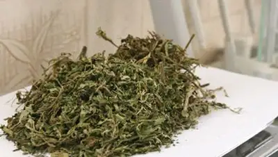 Zakon.kz, фото - Новости Zakon.kz от 23.08.2014 17:20