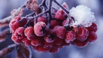 Zakon.kz, фото - Новости Zakon.kz от 04.02.2015 14:59