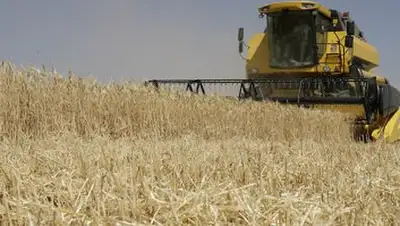 Zakon.kz, фото - Новости Zakon.kz от 08.08.2014 22:14