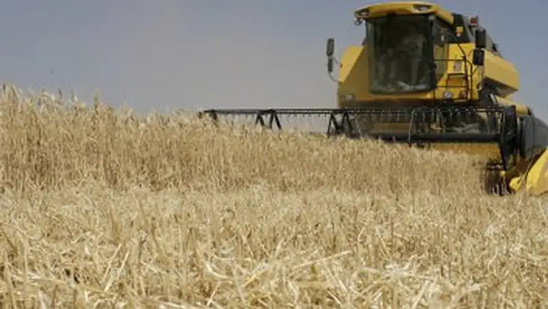 В пяти областях Казахстана намолочено 759 тыс тонн зерна – МСХ