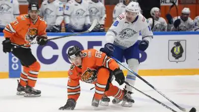 hcbarys.kz, фото - Новости Zakon.kz от 04.01.2021 16:12