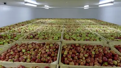 Zakon.kz, фото - Новости Zakon.kz от 08.02.2016 23:55