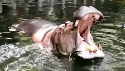 Zakon.kz, фото - Новости Zakon.kz от 10.07.2017 22:43