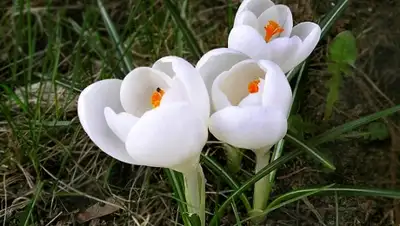 Zakon.kz, фото - Новости Zakon.kz от 10.03.2016 19:08