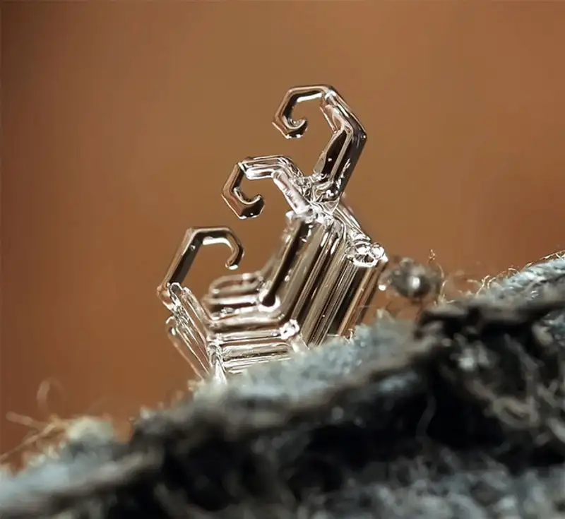 Снежинки. Фотограф Андрей Осокин Снежинки. Фотограф Андрей Осокин, фото - Новости Zakon.kz от 21.11.2013 00:00