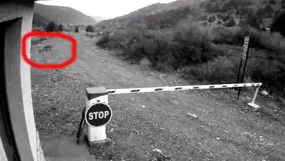 Zakon.kz, фото - Новости Zakon.kz от 29.03.2018 16:05