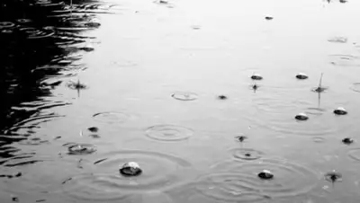 Zakon.kz, фото - Новости Zakon.kz от 27.05.2017 12:00