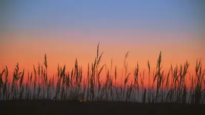 Pixabay, фото - Новости Zakon.kz от 02.12.2019 06:23