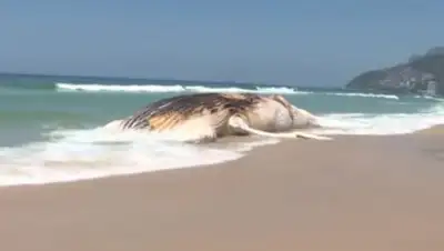 Zakon.kz, фото - Новости Zakon.kz от 16.11.2017 12:02