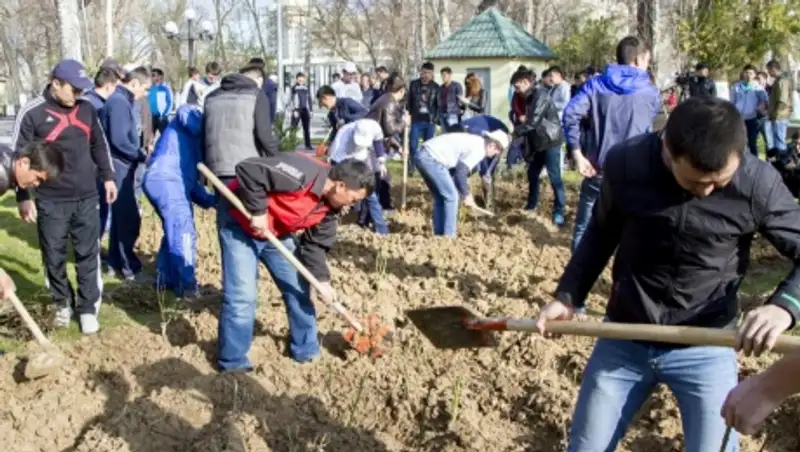 В Южно-Казахстанской области прошел общегородской субботник