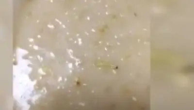 Кадр из видео, фото - Новости Zakon.kz от 08.12.2020 22:00