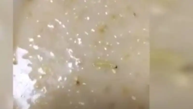 В актауской больнице детей кормят червями