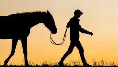 kurgan.ru, фото - Новости Zakon.kz от 03.10.2020 10:06