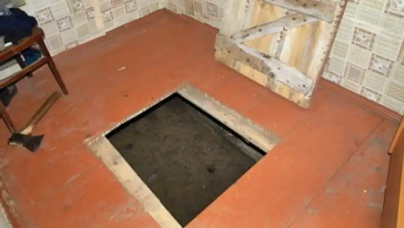 Два мужских тела в погребе обнаружила хозяйка дома в Семее