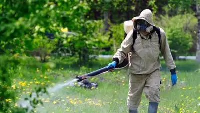 Zakon.kz, фото - Новости Zakon.kz от 25.04.2017 17:39