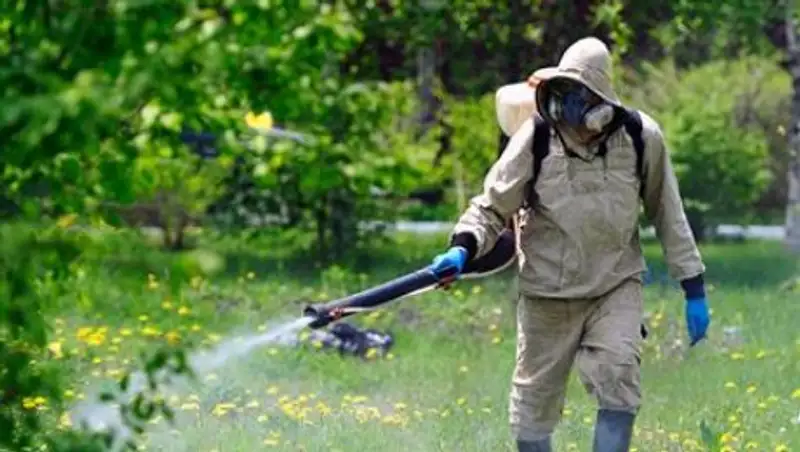Парки и скверы Алматы обрабатывают против клещей