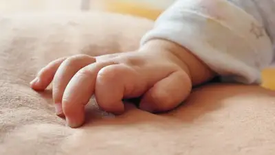 Pixabay, фото - Новости Zakon.kz от 23.11.2019 11:19