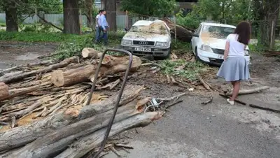 Zakon.kz, фото - Новости Zakon.kz от 30.05.2017 20:40