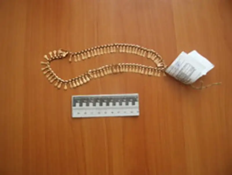 В Костанае полиция раскрыла серию краж на сумму более 3 млн тг