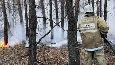 Лесной пожар в Абайской области: площадь возгорания составляет порядка 60 тыс. гектар