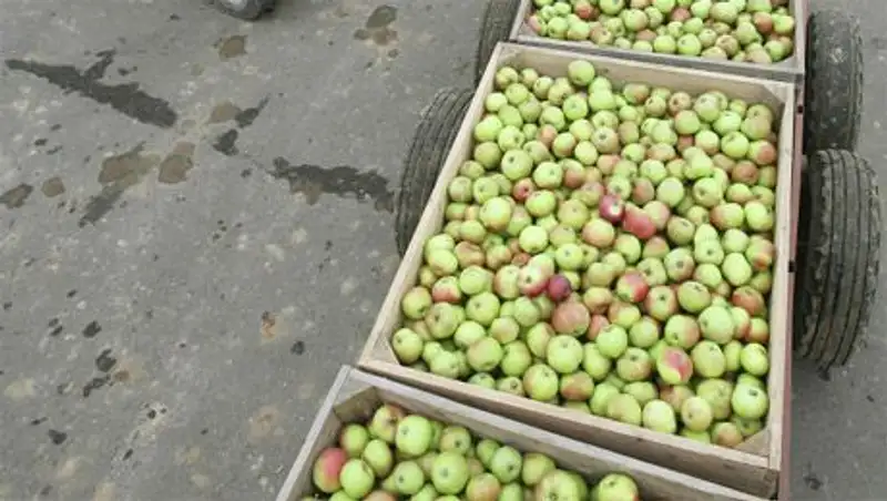 РФ, возможно, ограничит транзит продуктов в Казахстан