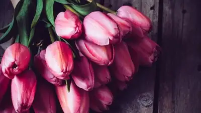 KP.UA, фото - Новости Zakon.kz от 08.03.2018 09:33