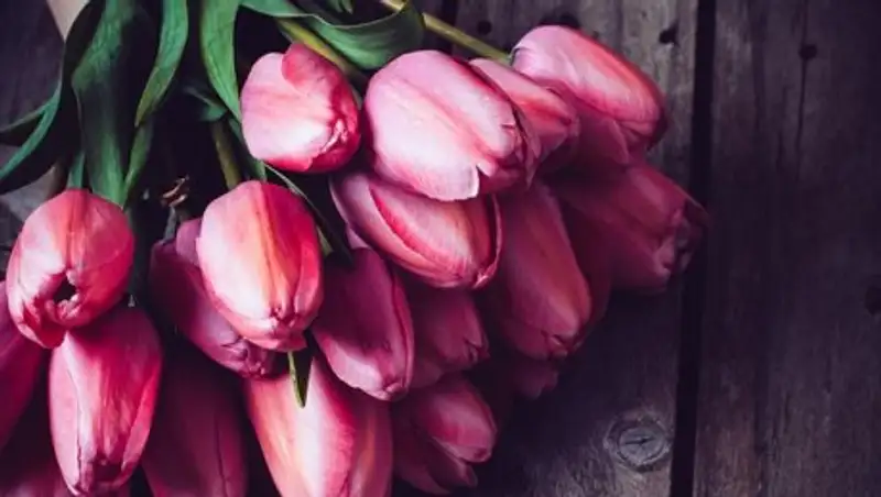 Казахстанцы отмечают Международный женский день