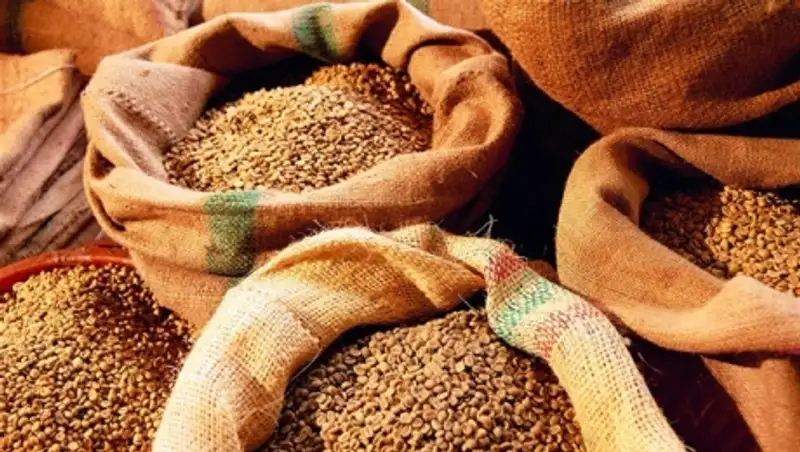 За кражу зерна задержан мужчина в Акмолинской области