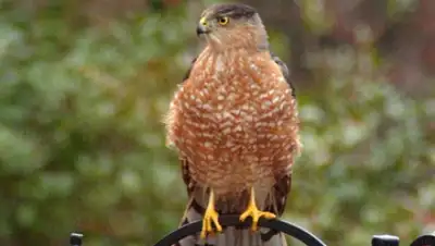 Zakon.kz, фото - Новости Zakon.kz от 27.04.2015 18:53