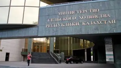 Zakon.kz, фото - Новости Zakon.kz от 11.12.2015 02:44