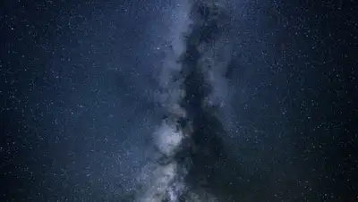 pxhere.com, фото - Новости Zakon.kz от 10.10.2019 15:38