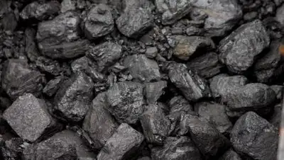 pixabay, фото - Новости Zakon.kz от 31.10.2021 16:25