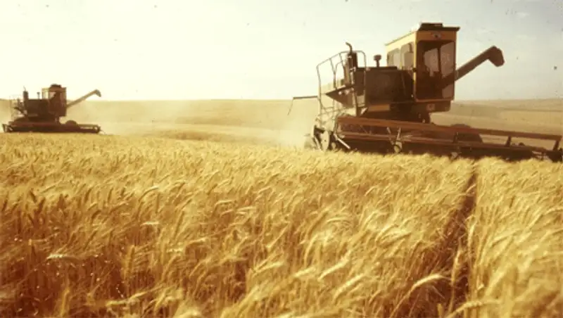 Земледельцы Павлодарской области собрали более 862 тыс. тонн зерна, фото - Новости Zakon.kz от 06.11.2013 00:44