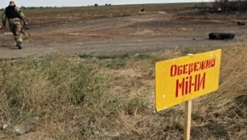 Хуг: разминирование в Донбассе может завершиться к концу года