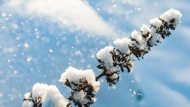 Синоптики прогнозируют сильные осадки на юге и юго-востоке Казахстана