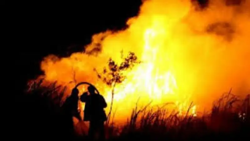 Аким и учитель погибли во время степного пожара в Актюбинской области