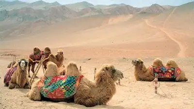 Zakon.kz, фото - Новости Zakon.kz от 23.06.2014 17:11