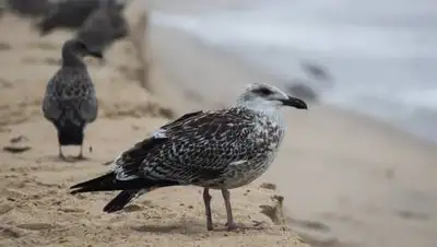 pxhere.com, фото - Новости Zakon.kz от 14.10.2021 11:16