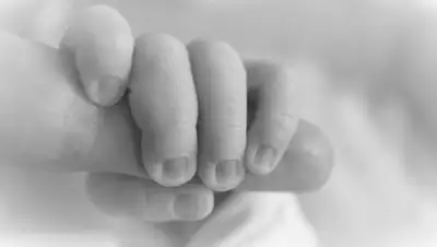 Pixabay, фото - Новости Zakon.kz от 26.01.2020 23:11