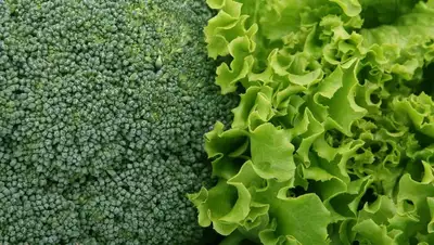 иммунолог перечислила продукты, фото - Новости Zakon.kz от 08.08.2022 20:01