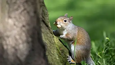 Zakon.kz, фото - Новости Zakon.kz от 05.12.2015 01:17