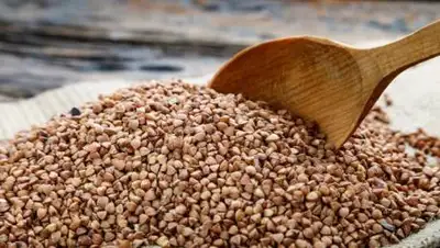 profile.ru, фото - Новости Zakon.kz от 27.11.2020 10:54