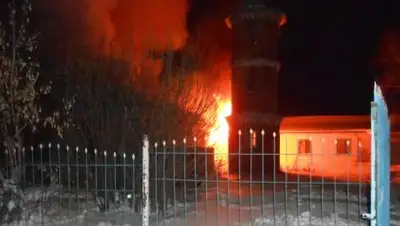 24.kz, фото - Новости Zakon.kz от 11.12.2018 06:48