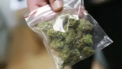 Zakon.kz, фото - Новости Zakon.kz от 12.01.2016 00:43